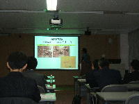 �����F�����̓��ʍu��